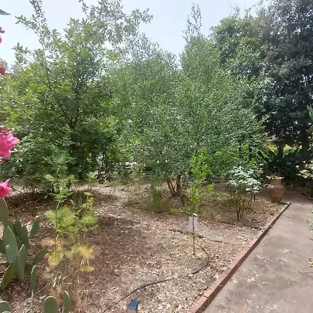 Rosa Delle Rose *