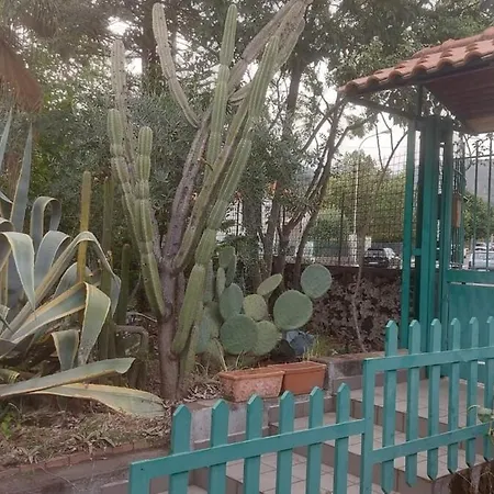 Holiday home Rosa Delle Rose Fleri